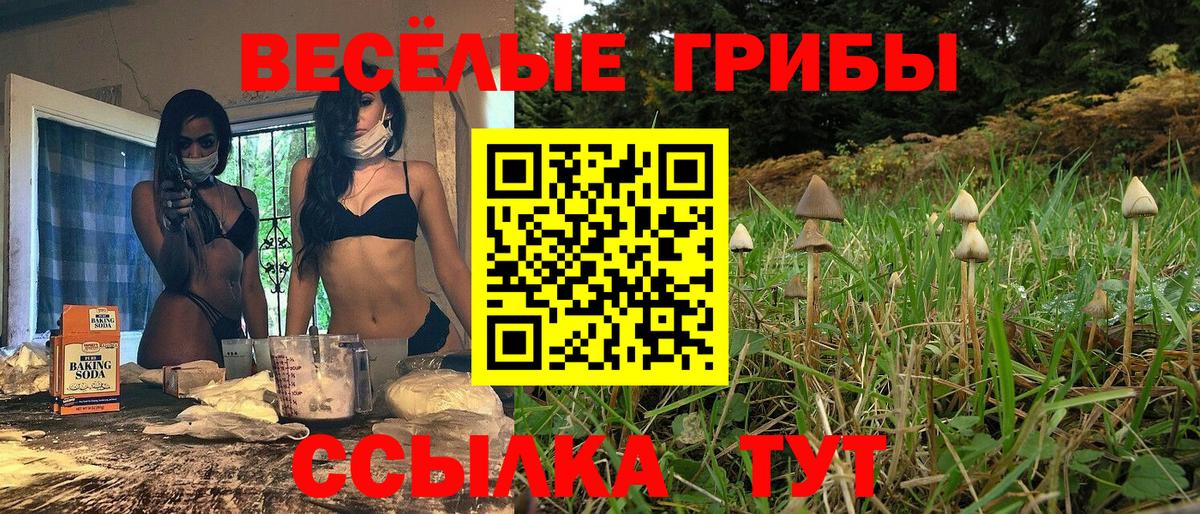 Псилоцибиновые грибы Psilocybine cubensis Муравленко