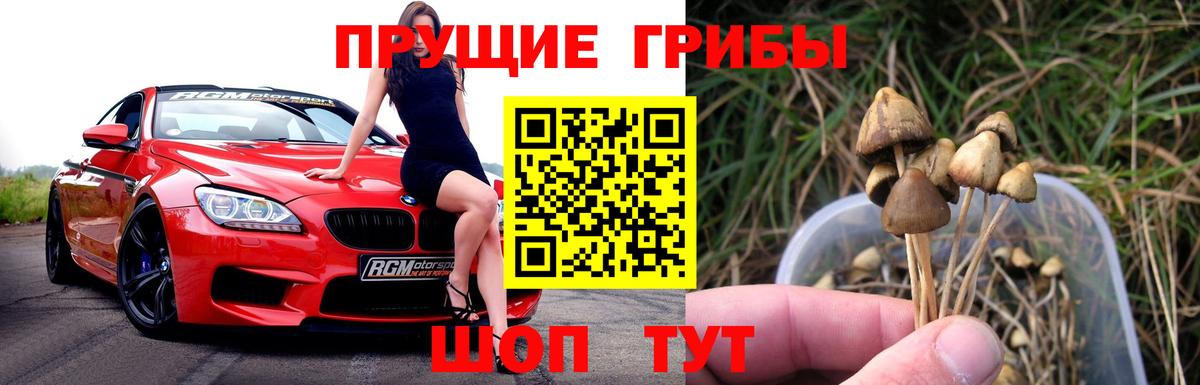 Муравленко  Псилоцибиновые грибы прущие грибы  Галлюциногенные грибы ЛСД  Вход с VPN 